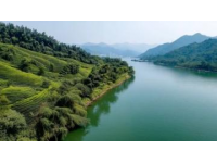 夏日打卡季：探秘華北明珠白洋淀，體驗北方水鄉(xiāng)生態(tài)人文之旅