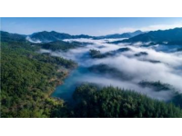 遇見撫仙湖的藍：澄江旅游攻略