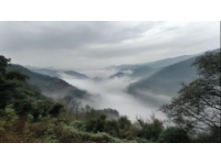 清明假期山城踏青記：十日悠然時(shí)光，探訪三潭風(fēng)景區(qū)美景