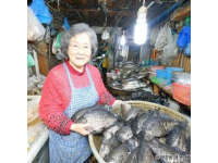30元一條的無刺全肉魚，營養(yǎng)豐富補(bǔ)腦佳品最適合孩子吃