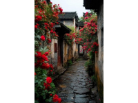 探尋江南之秘境：路南邂逅南潯古鎮(zhèn)