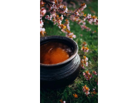 夏日清爽家常絲瓜肉絲湯：滋養(yǎng)身心好選擇