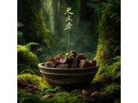 云南宣威的"火腿大王"陳陽，用五年賺來的積蓄購買了上萬斤豬腿肉