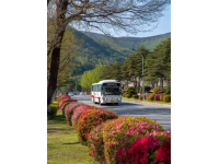 500元環(huán)游東日本！JR東日本平日旅行優(yōu)惠票限時(shí)發(fā)售