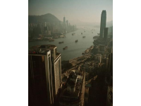 香港鼠患嚴(yán)峻：每捉一只老鼠成本約10880元，引發(fā)熱議
