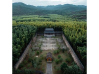 漫悅小巷民宿：體驗(yàn)叢林坦克的樂(lè)趣