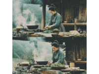 樊俊的高山農(nóng)場：從藥材種植到生態(tài)養(yǎng)殖的致富之路