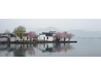 兩日游路線：武大櫻花+東湖綠道，這樣玩不繞路！