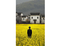 河北廊坊，男子獻(xiàn)血8次，卻在急用血時(shí)被告知獻(xiàn)血證過期，不能優(yōu)先用血！男子不能