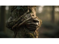 在溫柔中釋懷：編織生活的希望與堅(jiān)韌