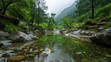 九寨溝一日游：奇幻探險之旅，開啟你的山水童話之旅