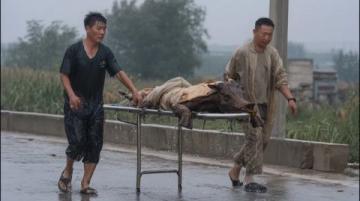 當(dāng)年民國鎮(zhèn)上死了七個(gè)百姓，死者面青指蜷，繡花鞋旁遺著半只鞋子，縣里派來的巡警被逼退，局長一刀刺穿了案子。