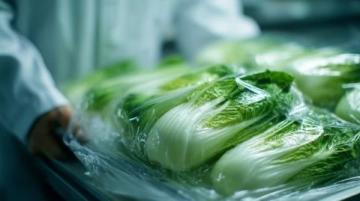 十大食品安全小常識,字?jǐn)?shù)在10到40個字之間。