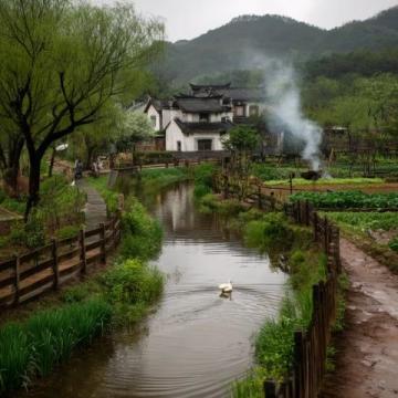 成都近郊露營(yíng)好去處:金馬河邊的溫江魯家灘濕地公園