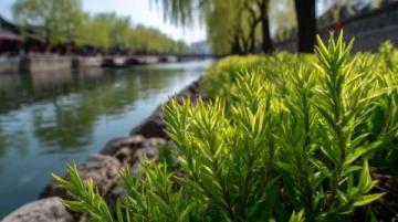 南京銀杏湖:自然與人文的和諧交融