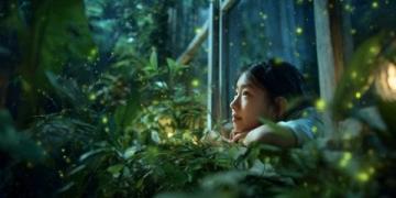 深圳西涌螢火蟲觀賞季：最佳觀景指南及出行攻略