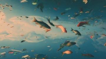 阜陽河道刀魚泛濫村民狂撈背后是生態(tài)改善信號？