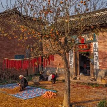 周口農(nóng)村:春節(jié)前軍叔跟風(fēng)種蘑菇村民:他們家常年的生意
