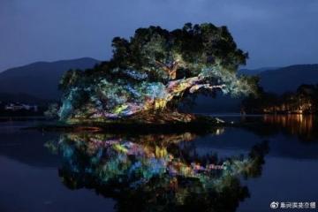 南京銀杏湖:自然與人文的和諧交融