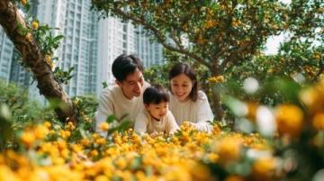 實況記錄云端花園的春日盛景：杜鵑花海、親子活動與自然之美