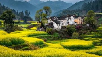 皖南春節(jié)之旅，體驗非凡韻味年節(jié)