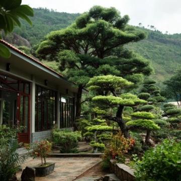 到高密城郊雙羊鎮(zhèn)云來山莊，品農(nóng)家樂的野味盛宴