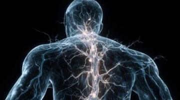 有趣的冷知識科普:雷聲的秘密與人體的奇妙現(xiàn)象