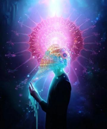 震驚！七大逆天冷知識揭秘，末一條令人瞠目結(jié)舌！