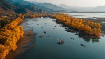 成都近郊露營(yíng)好去處:金馬河邊的溫江魯家灘濕地公園