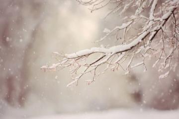 朋友圈各地飄雪，溫暖冬日期待一場(chǎng)大雪紛飛；在寧?kù)o中迎接新年，祈愿生活更美好