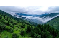 展現(xiàn)瀘州風(fēng)光之美照片分享