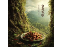 小廟龍湖地塊案名揭曉，美食城小區(qū)地塊信息公示