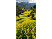 求分享！你有沒有拍過袁家村的隨手風(fēng)景照？
