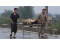當(dāng)年民國(guó)鎮(zhèn)上死了七個(gè)百姓，死者面青指蜷，繡花鞋旁遺著半只鞋子，縣里派來(lái)的巡警被逼退，局長(zhǎng)一刀刺穿了案子。