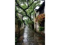 路過漢正街，在武漢的鬧市區(qū)還有這樣有年代感的老房子，鋁合金，防盜窗，花床單