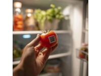 十大食品安全小常識,字?jǐn)?shù)在10到40個字之間。