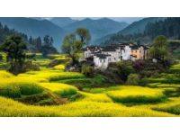 皖南春節(jié)之旅，體驗非凡韻味年節(jié)