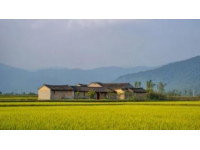 甘南旅游全攻略|行前必看，避坑&寶藏玩法一網(wǎng)打盡