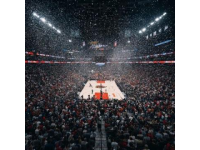 NBA本賽季收入最高的前十名球員