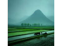 貴州羊肉粉：山河史詩(shī)里的味覺(jué)記憶