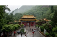 九寨溝一日游：奇幻探險之旅，開啟你的山水童話之旅