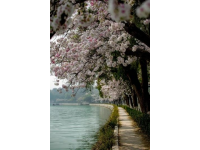 五一游洋沙湖感覺挺好的，人少景也美