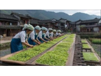貴州黔南的酒席之道！全憑自己動(dòng)手炒菜，口味隨心所欲