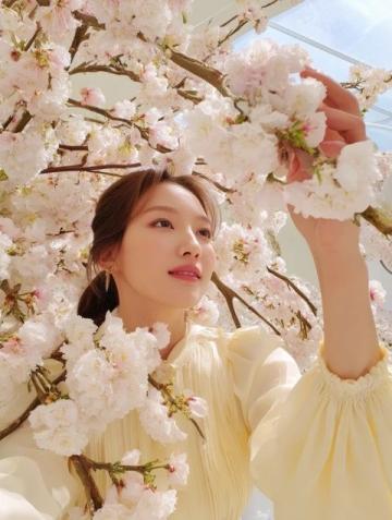 天津清明賞花哪里好？這份海棠花觀賞指南請(qǐng)收好！