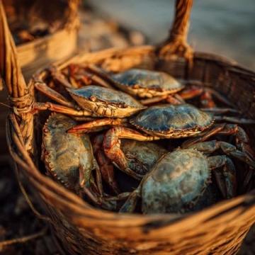 夏日微風(fēng)中的味蕾享受:寶應(yīng)六月鮮蟹黃魚頭煲