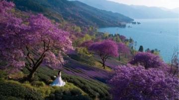 走進(jìn)春暖花開的閩南美景