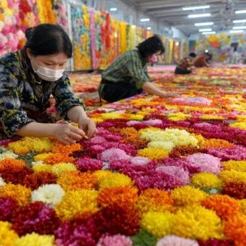 春節(jié)途經(jīng)雞街收費站：對紅河人而言，這里充滿回憶與鄉(xiāng)愁