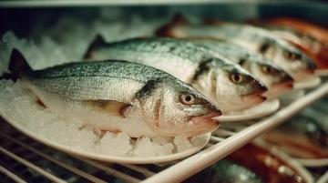 老家生活如魚得水:新鮮美食與自給自足的幸福感