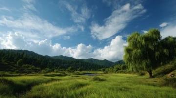 土地性質(zhì)劃分(土地性質(zhì)常識(shí))