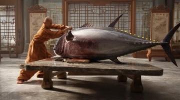 進(jìn)去！我只收釣費(fèi)，不提供魚(yú),這件事在沈陽(yáng)的社交媒體上引發(fā)了熱議